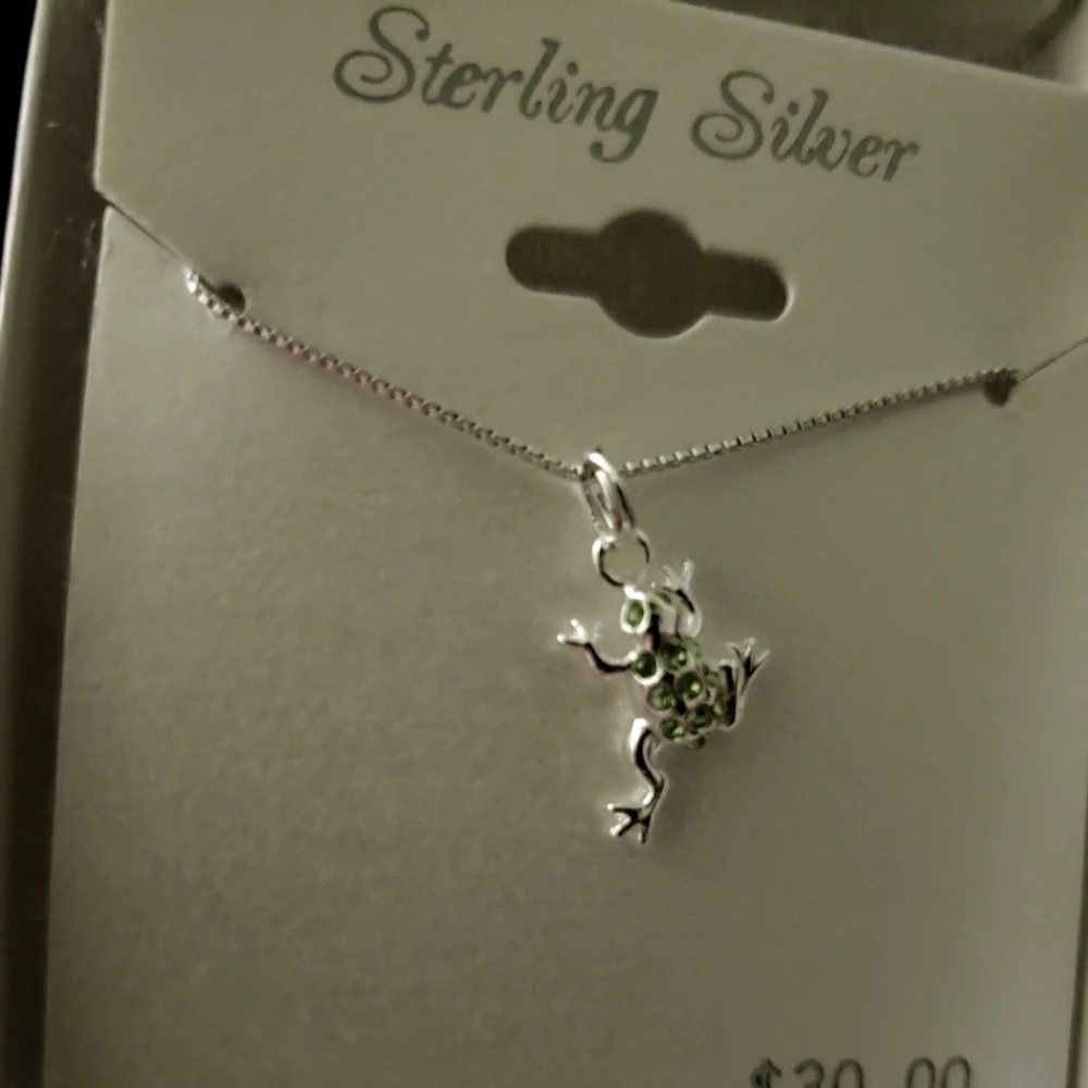 Sterling Silver Frog necklace with 16 Inch box Chain - Picture 4 of 6